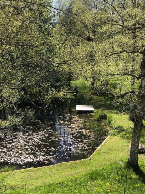 Exklusives Apartment Mit Schwimmbad Im Allgaeu Oy-Mittelberg Zewnętrze zdjęcie